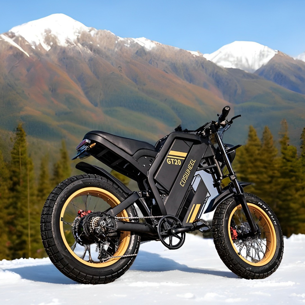 Coswheel Electric bike for Adu - Motorcycle Gear Online review and price